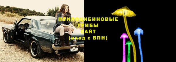 apvp Балабаново