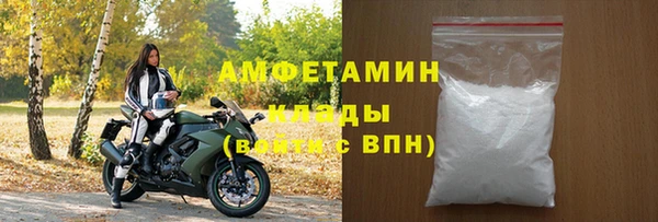 СК Пересвет