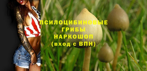 apvp Балабаново
